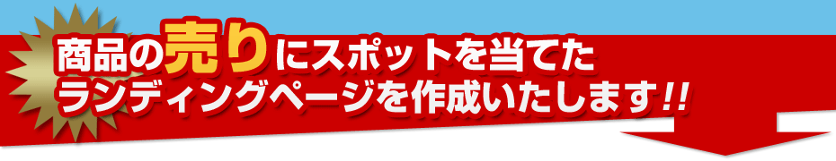 商品の売りにスポットを当てたランディングページを作成いたします!!